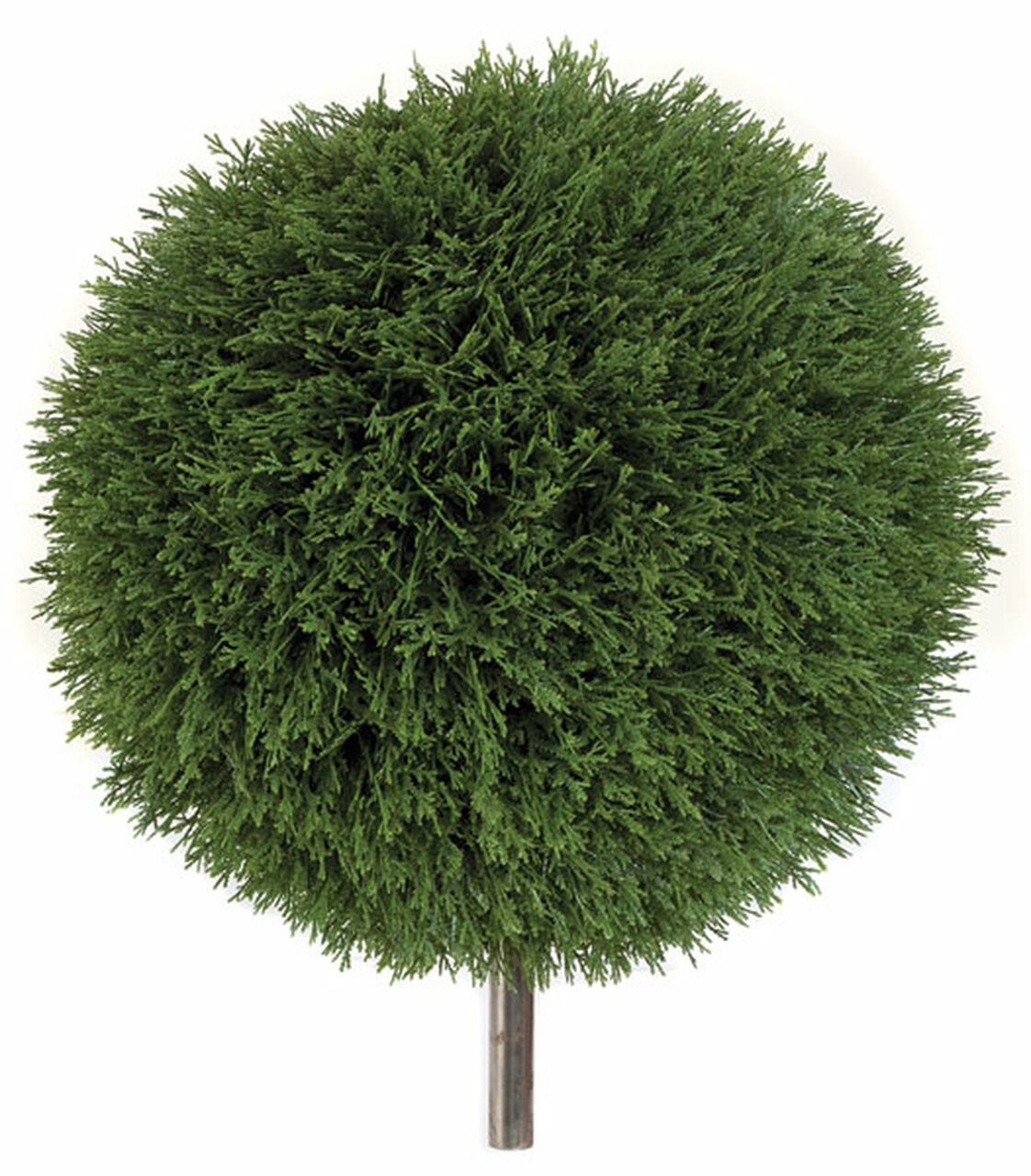 24 inch diameter Ultraviolet Cedar Ball Topiary